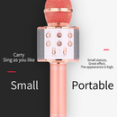 WS-858 - Microfone Infantil de Karaoke Microfone de Brinquedo Sem Fio Bluetooth